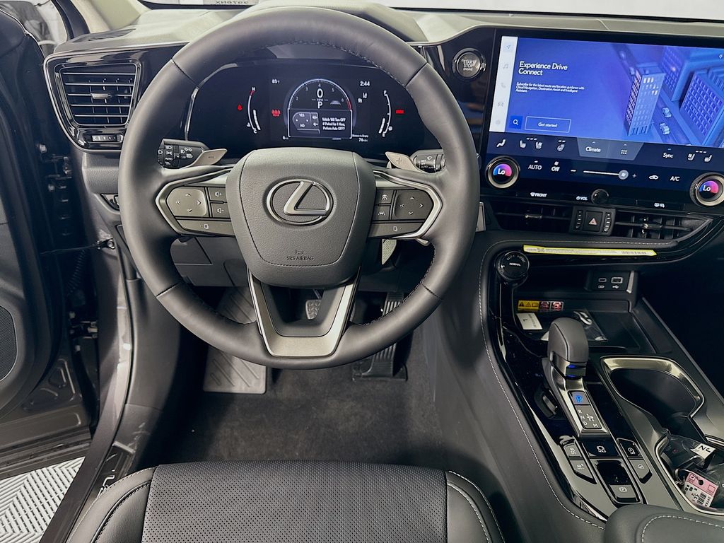 2025 Lexus NX 350 Luxury 19