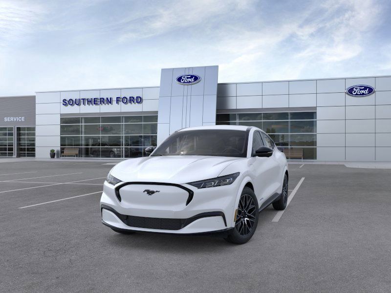 New 2025 White Ford Premium image 2