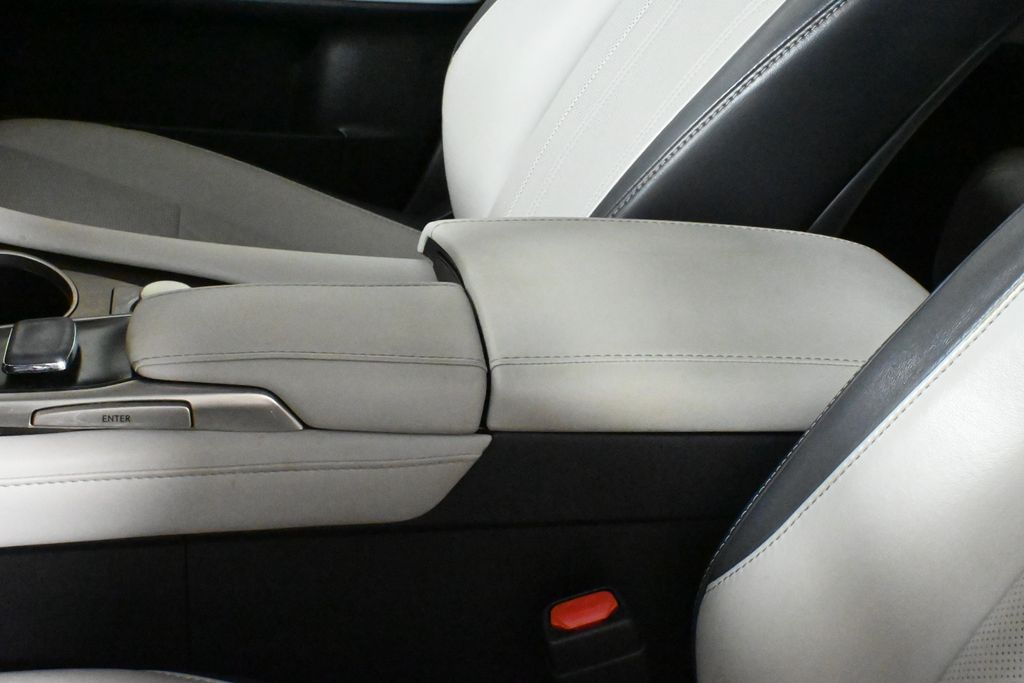 2019 Lexus RX Hybrid 450h 30