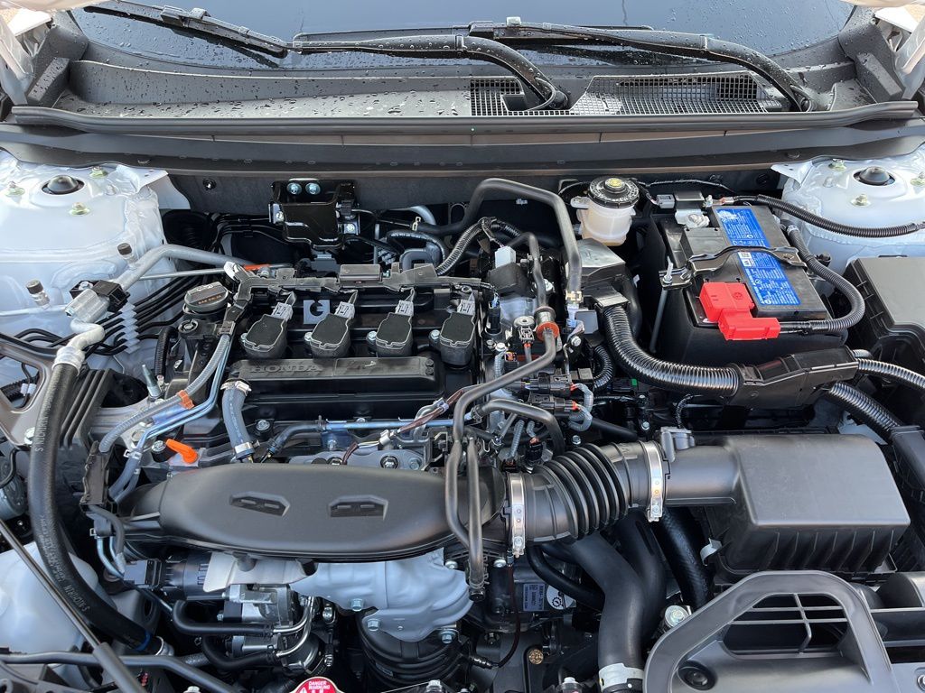 Thumbnail: 2025 Honda Accord - 7