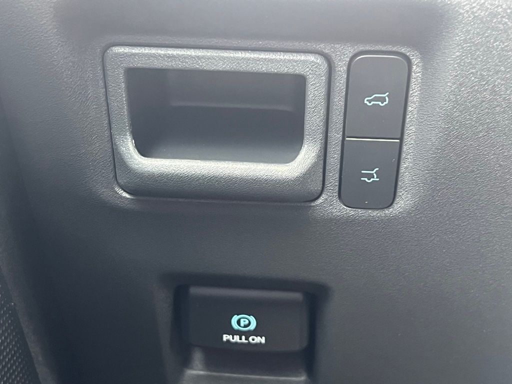 2025 Ford Expedition Active Black at Walterboro Ford