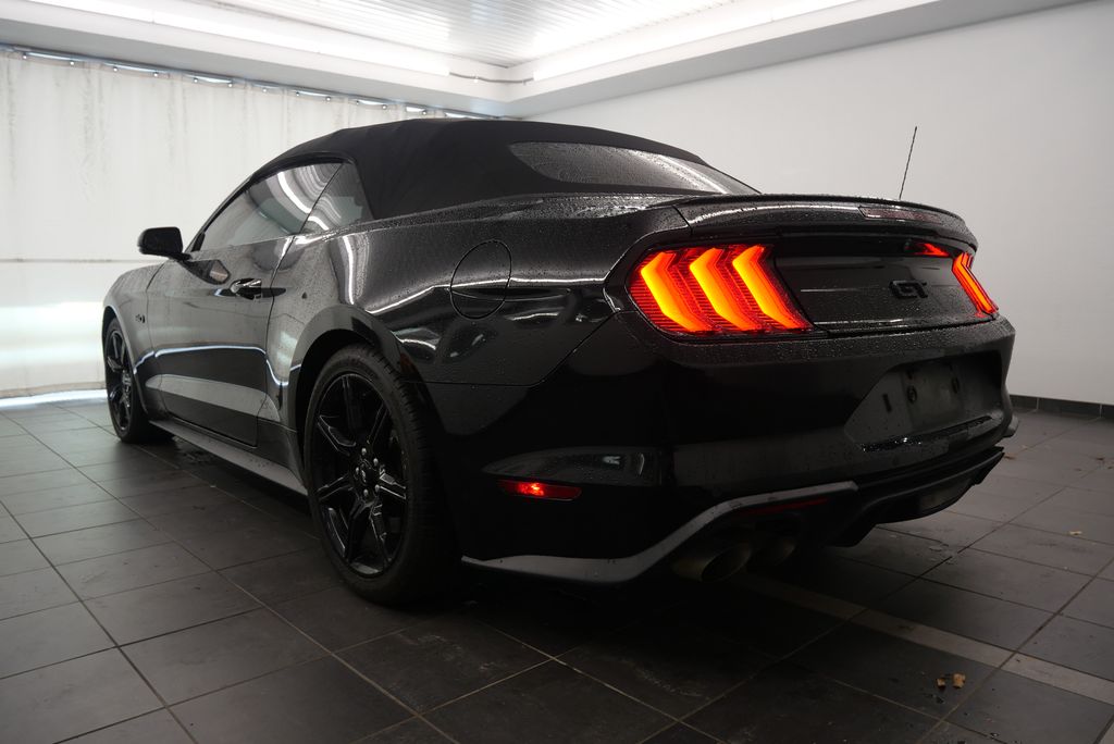 2019 Ford Mustang GT Premium 5