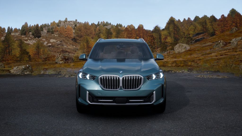 2025 BMW X5 xDrive50e 32