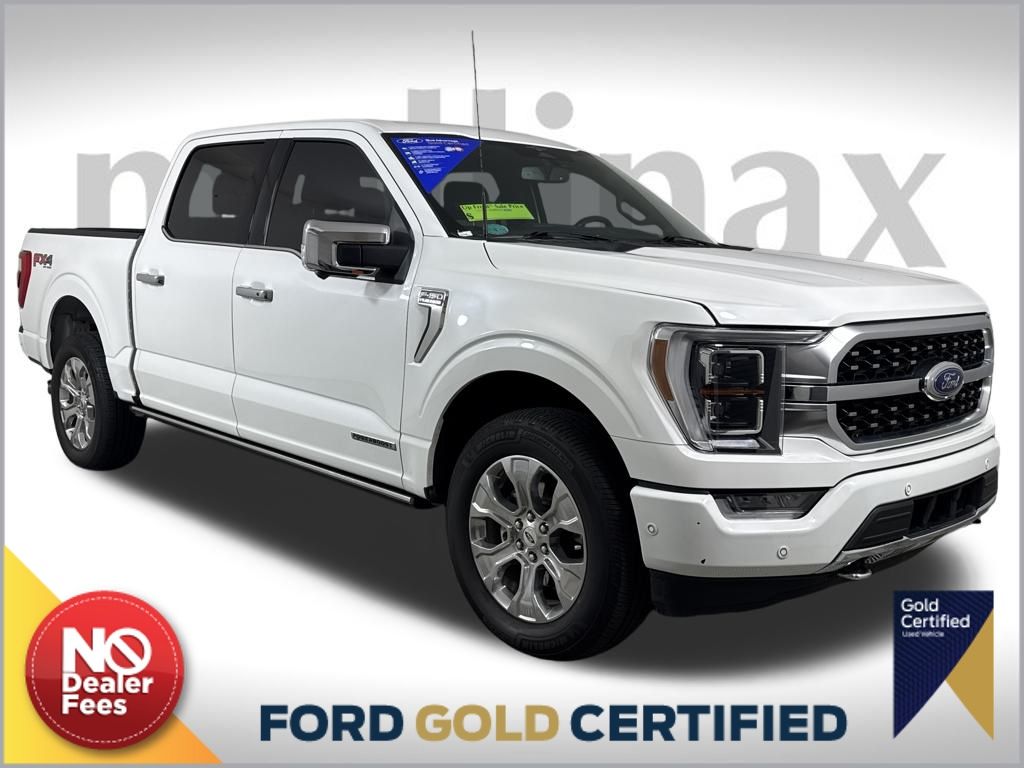 2023 Ford F-150 Platinum's photo