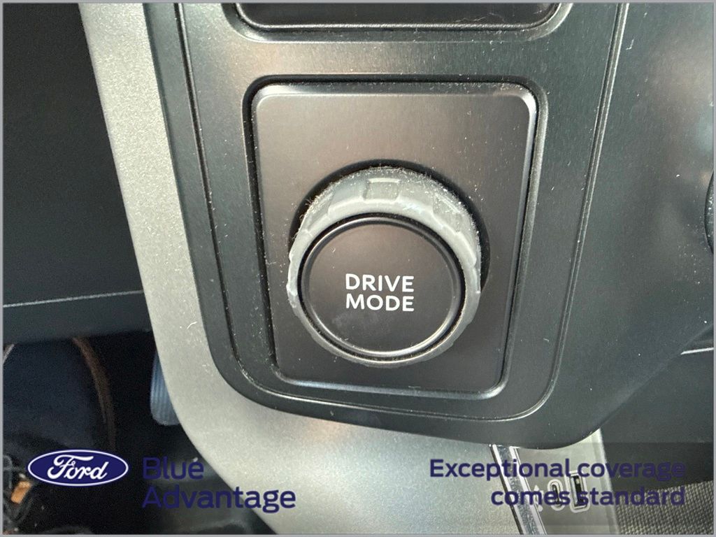 2025 Agate Black Metallic Ford F-150 XLT RWD Truck