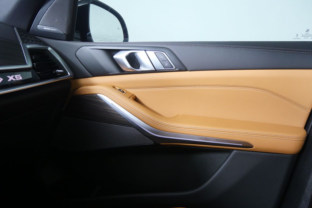 Thumbnail: 2025 BMW X5 - 30