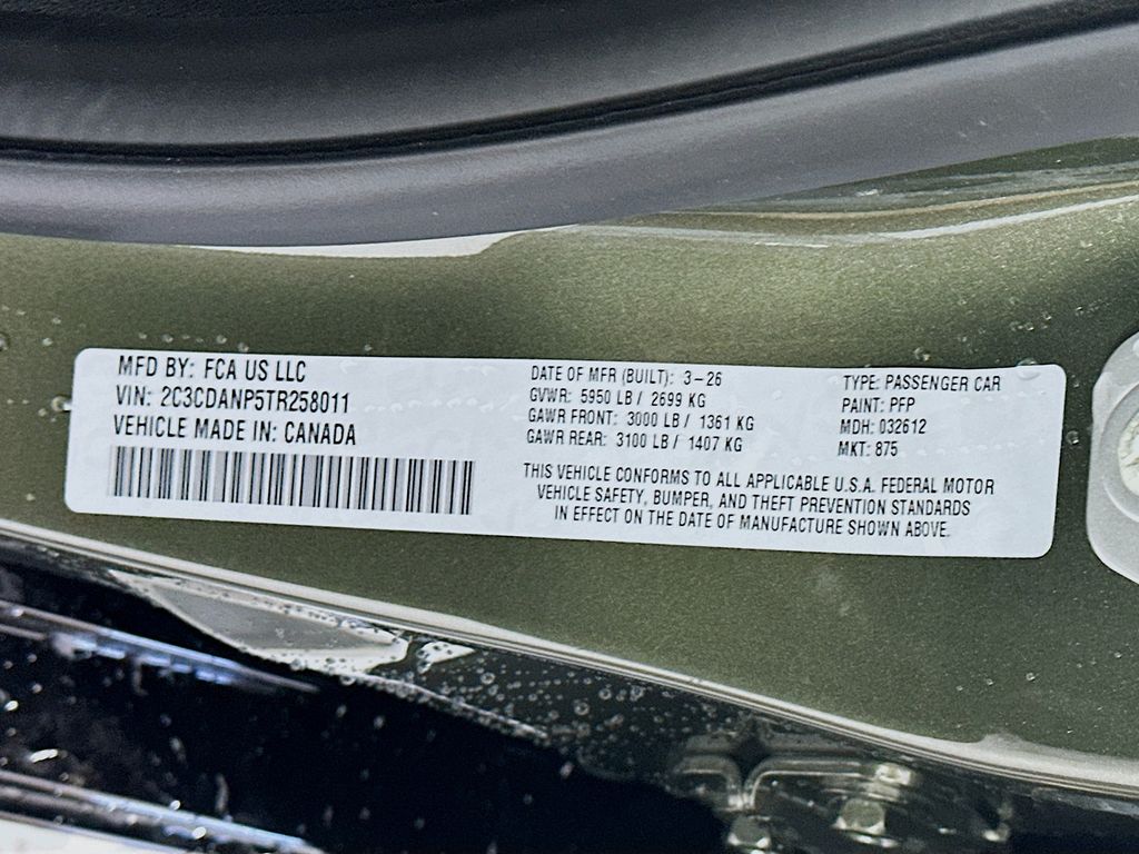 New 2026 Green Dodge R/T Blacktop image 19