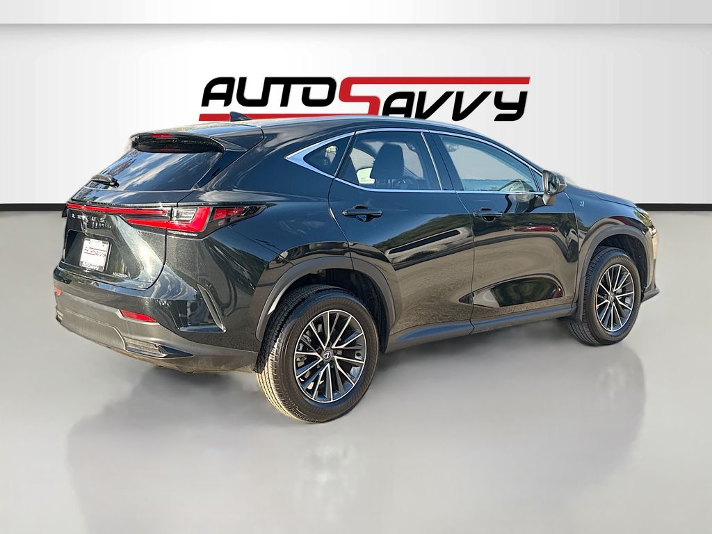 2025 Lexus NX 250 Premium - 6