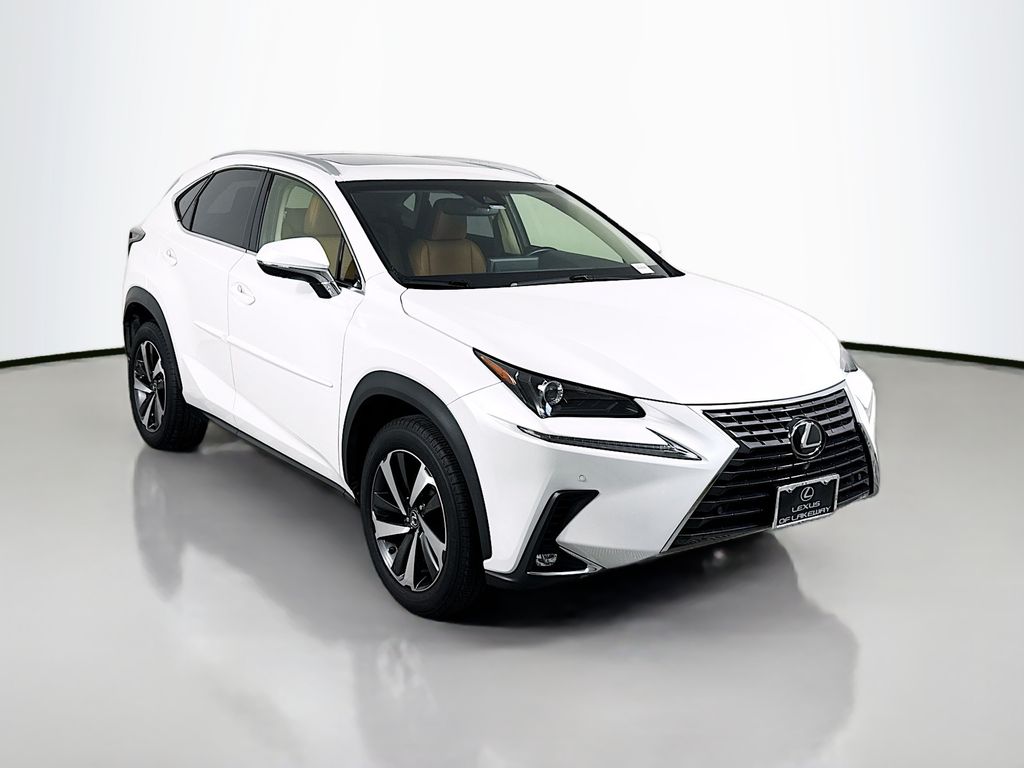 2019 Lexus NX 300 3