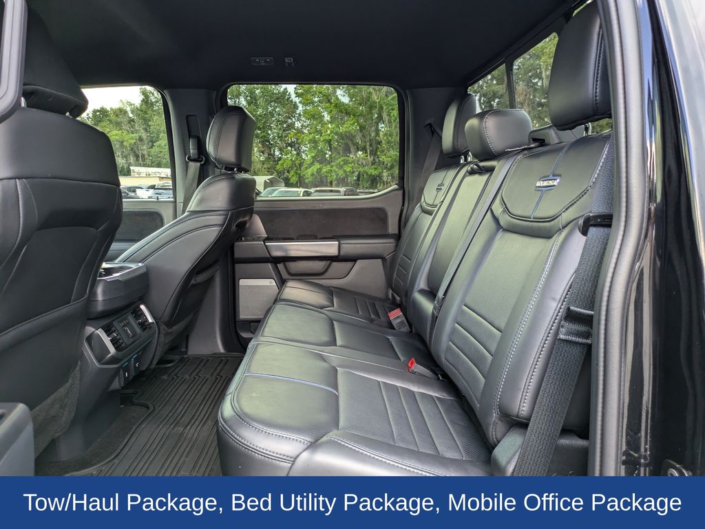 2025 Ford F-150 Platinum