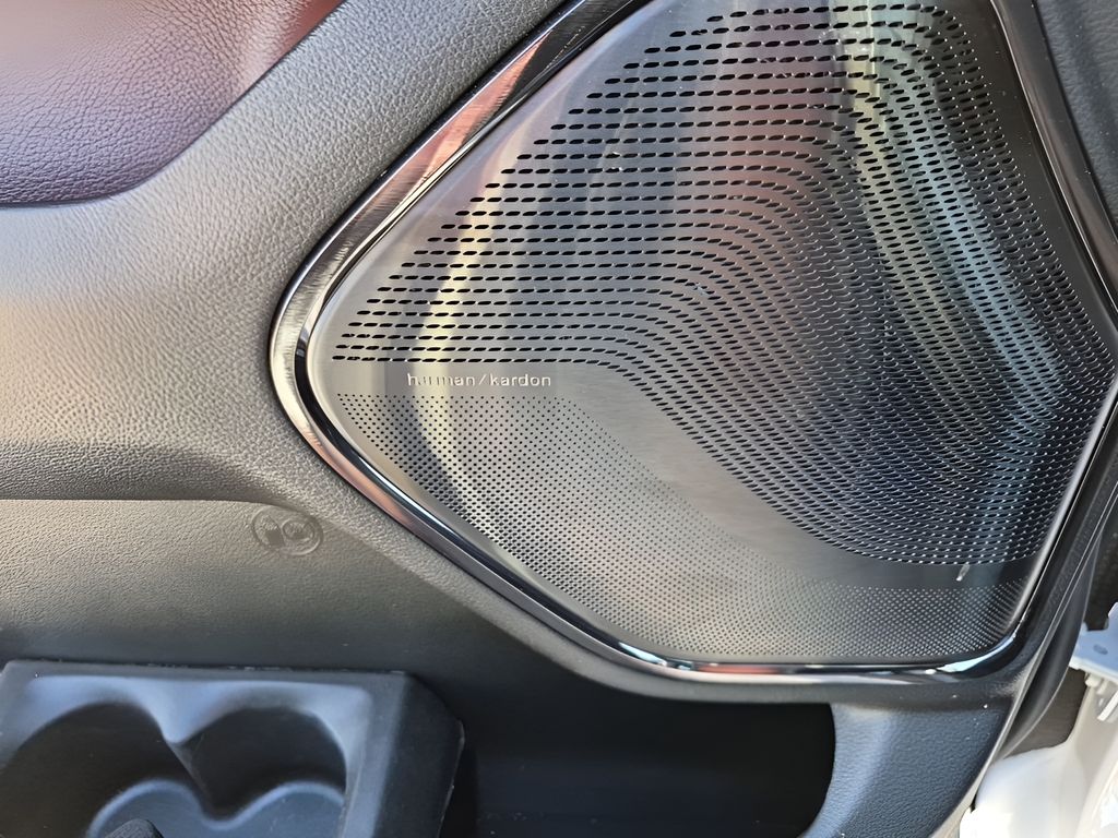 New 2026 White Ram Limited image 29