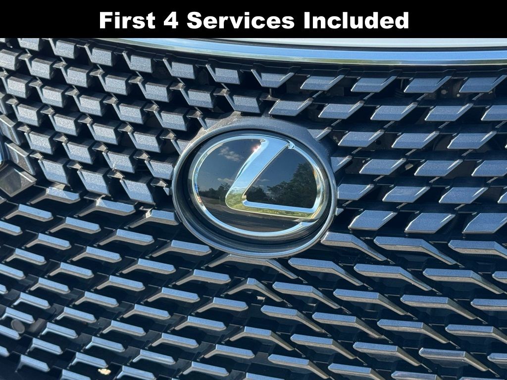 2022 Lexus RX 350L photo 5