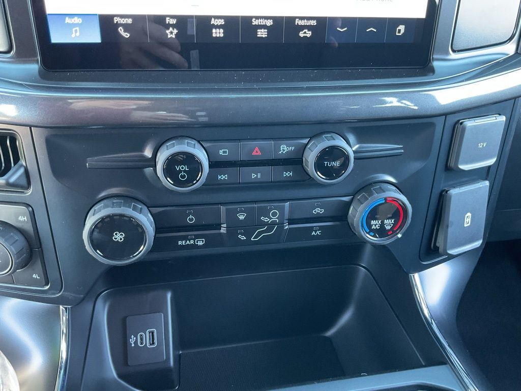 New 2025 Gray Ford STX image 16