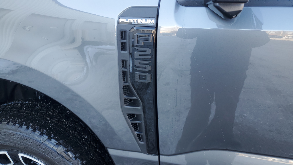 New 2026 Gray Ford Platinum image 11