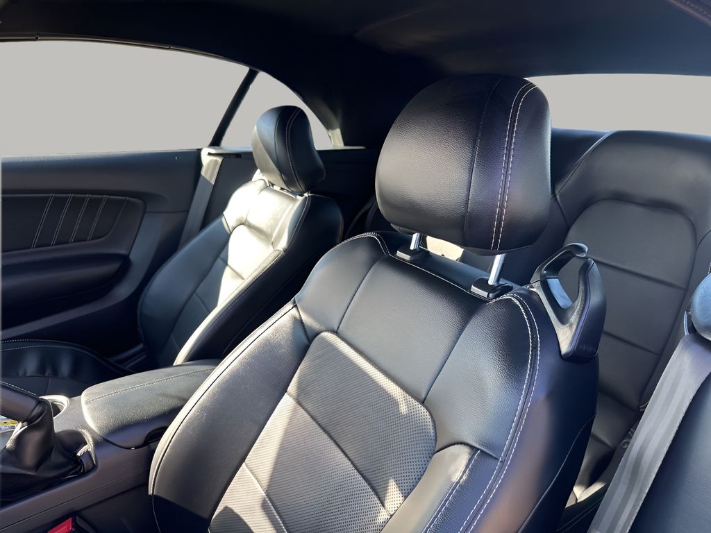 Used Car 2020 Ford Mustang  Gt Premium For Sale Under $35,000 In Austin, Texas