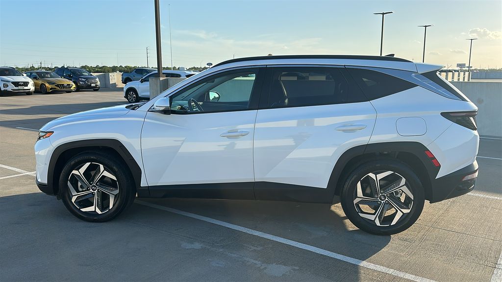 2024 Hyundai Tucson Limited White at Big Star Chrysler Jeep Dodge Ram 