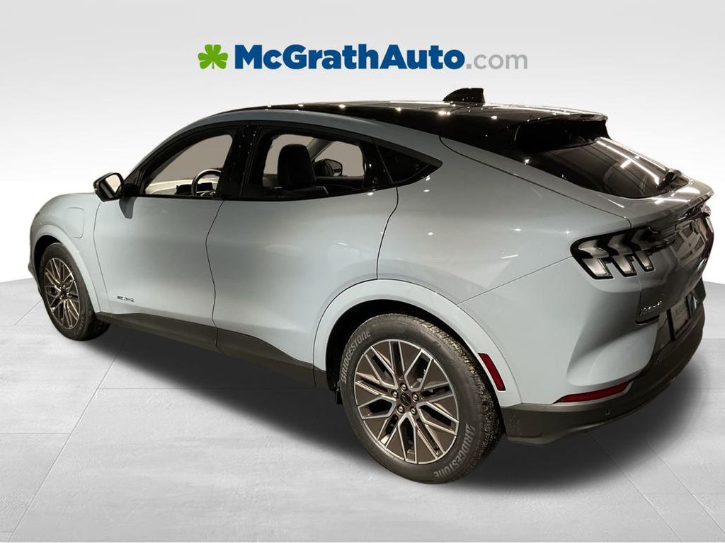 New 2025 Gray Ford Premium image 6