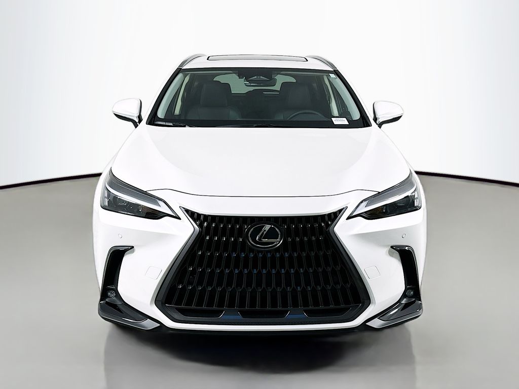 2025 Lexus NX 250 2