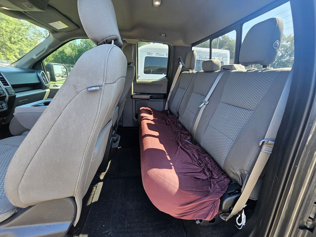 2019 Magnetic Ford F-150 XLT RWD Truck