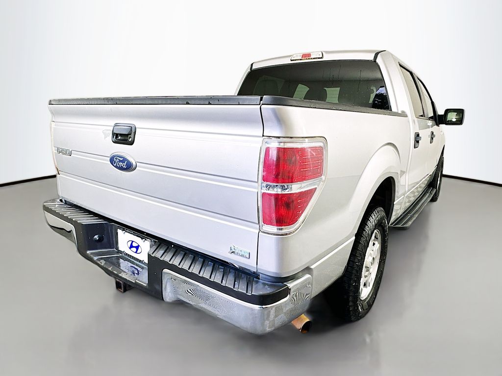Thumbnail: 2010 Ford F-150 - 5