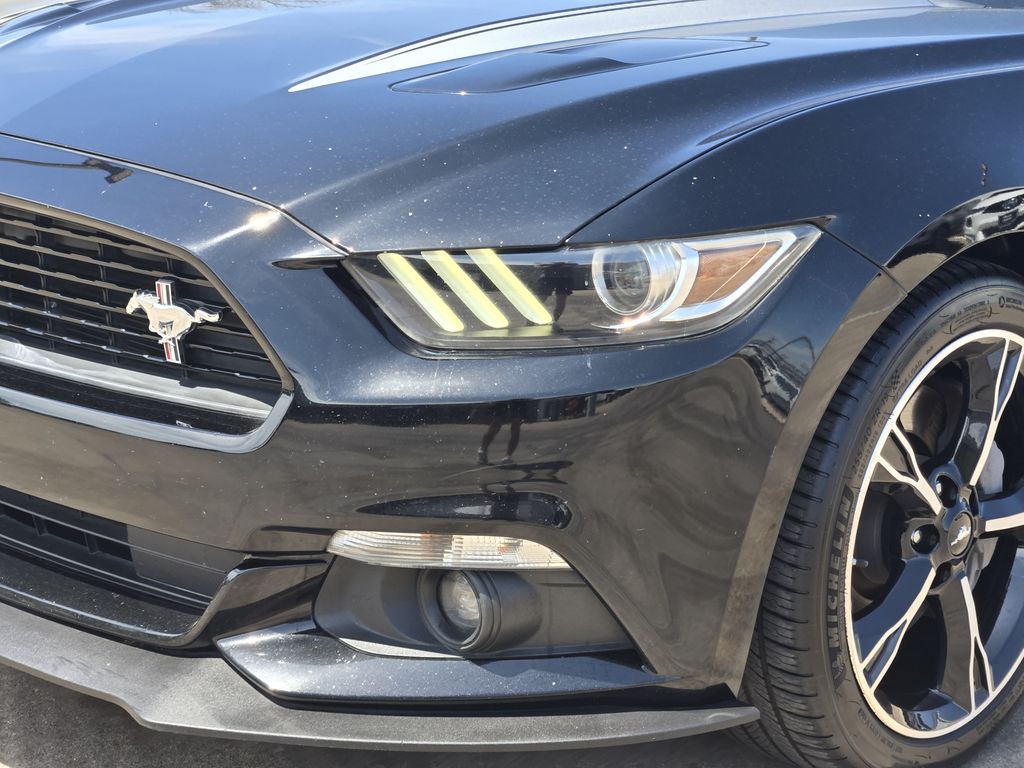 used 2017 Ford Mustang car, priced at $25,101