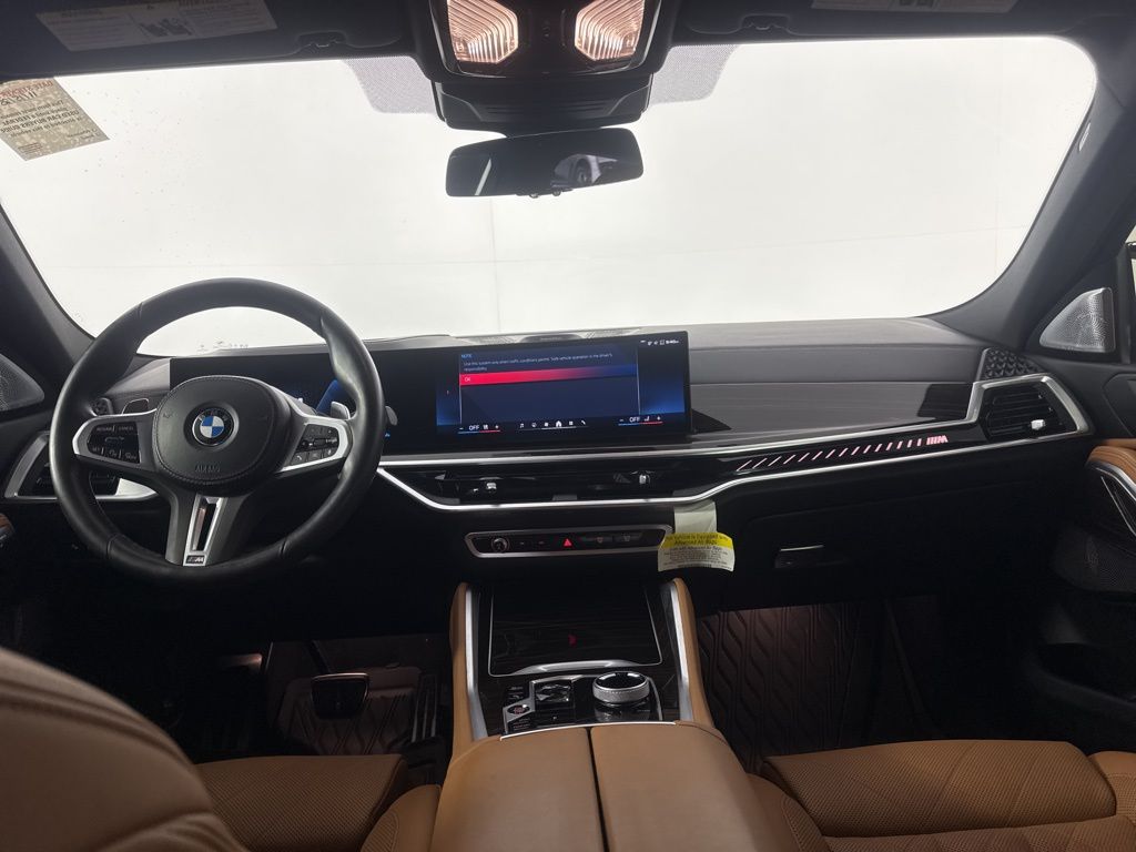 Thumbnail: 2024 BMW X6 - 9