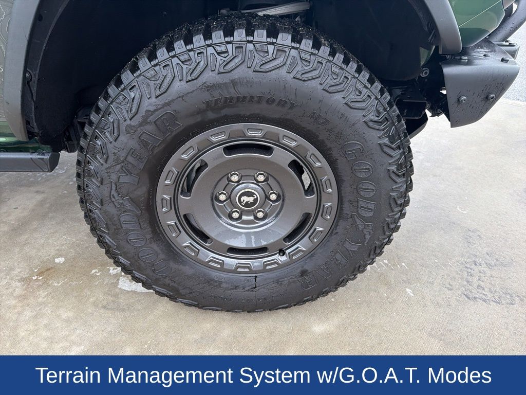 2024 Ford Bronco Everglades