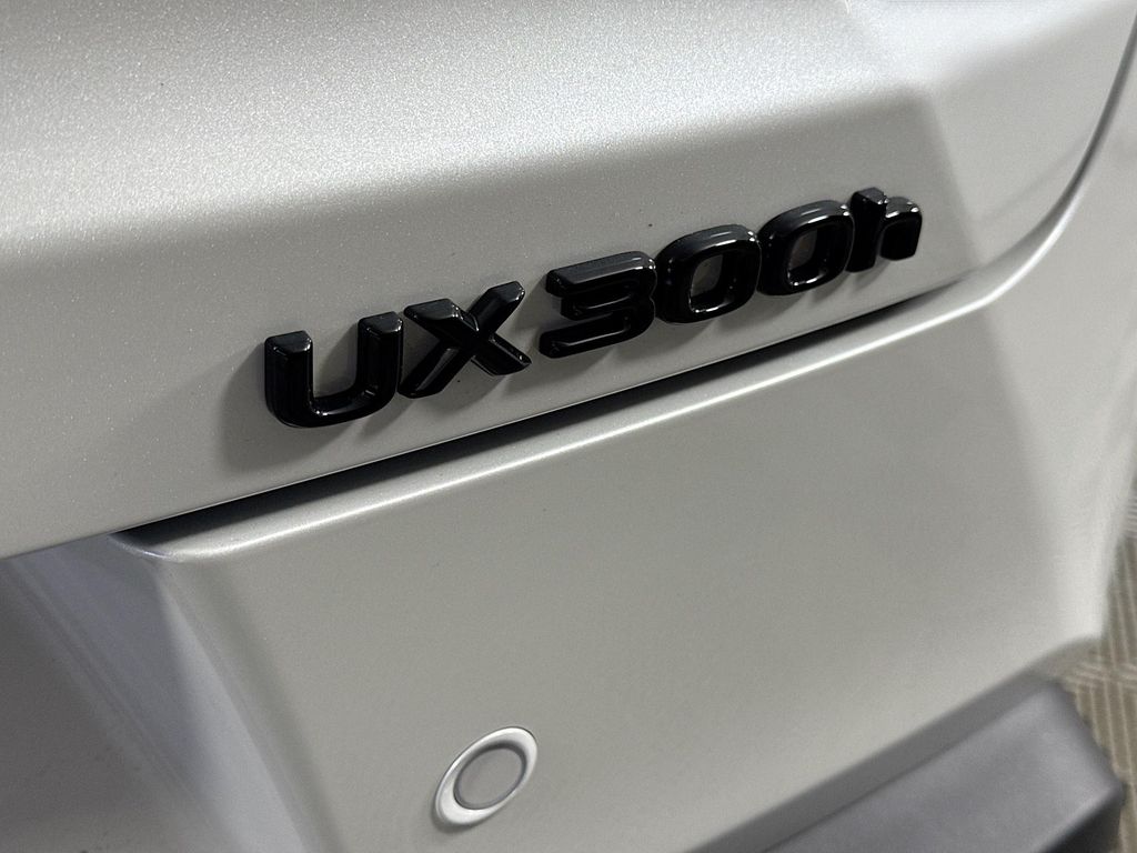 2025 Lexus UX 300h 22