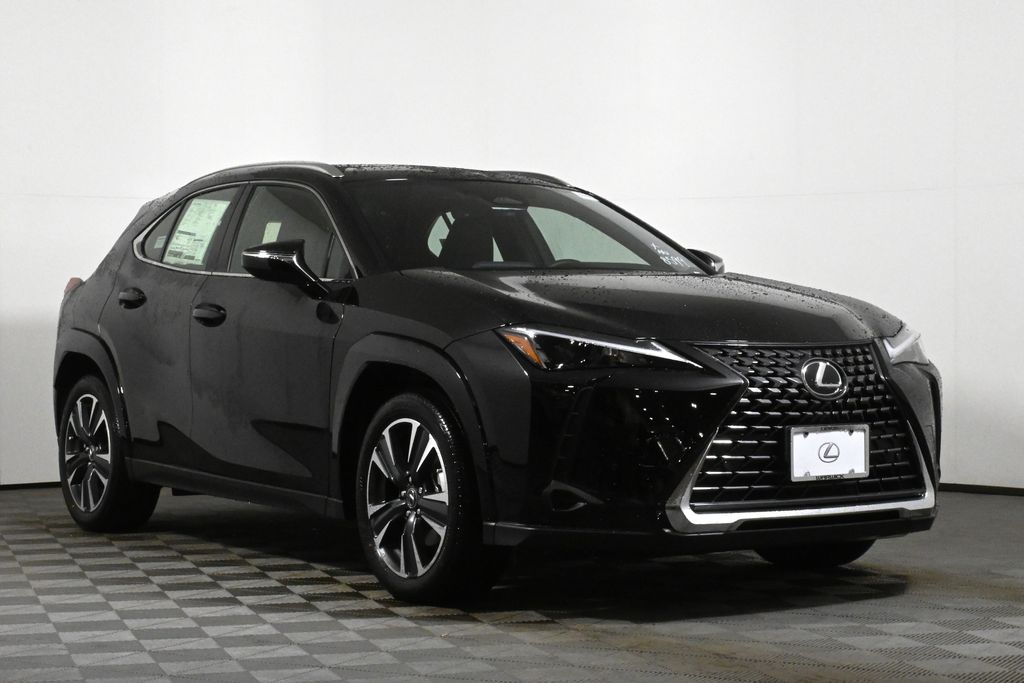 2025 Lexus UX 300h 9