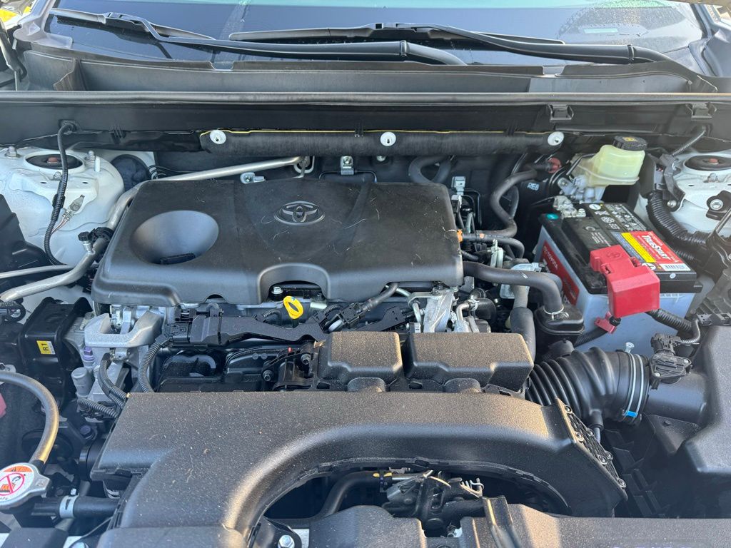 2019 Toyota RAV4 Limited 10