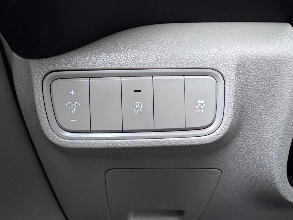 KiaSoul29