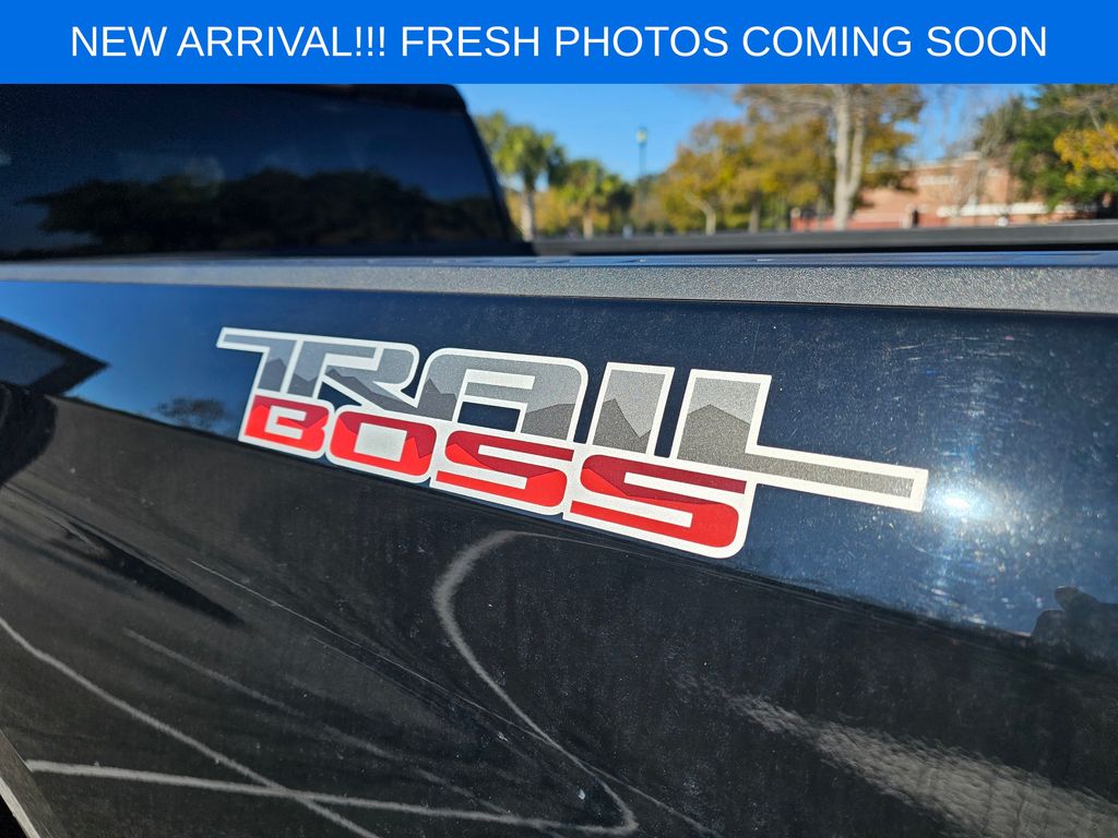 2020 Chevrolet Silverado 1500 Custom Trail Boss 17