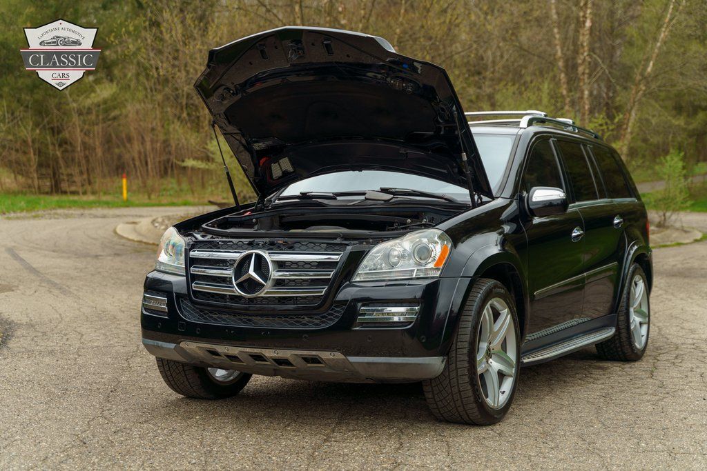 2010 Mercedes-Benz GL-Class GL 550 55