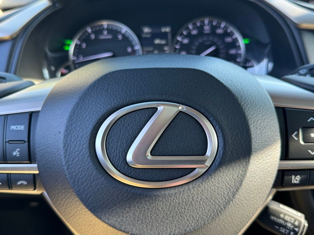 2019 Lexus RX 350L 30