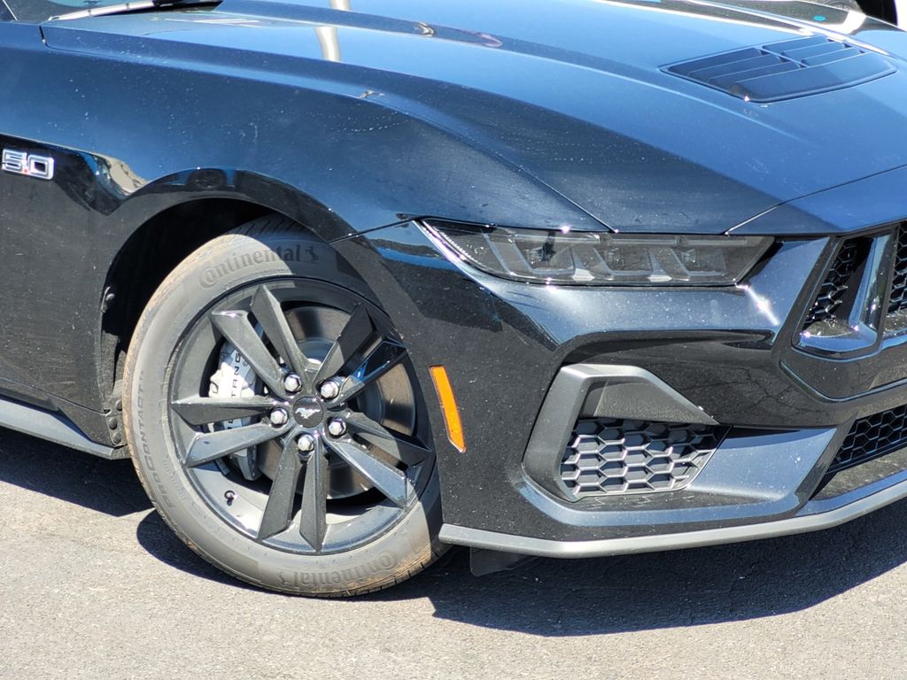 Car Picture