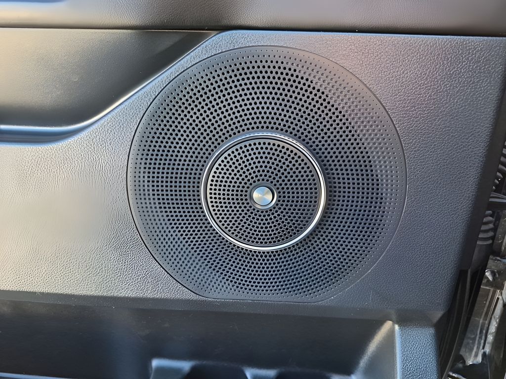 Used 2021 Black Ford Platinum image 28