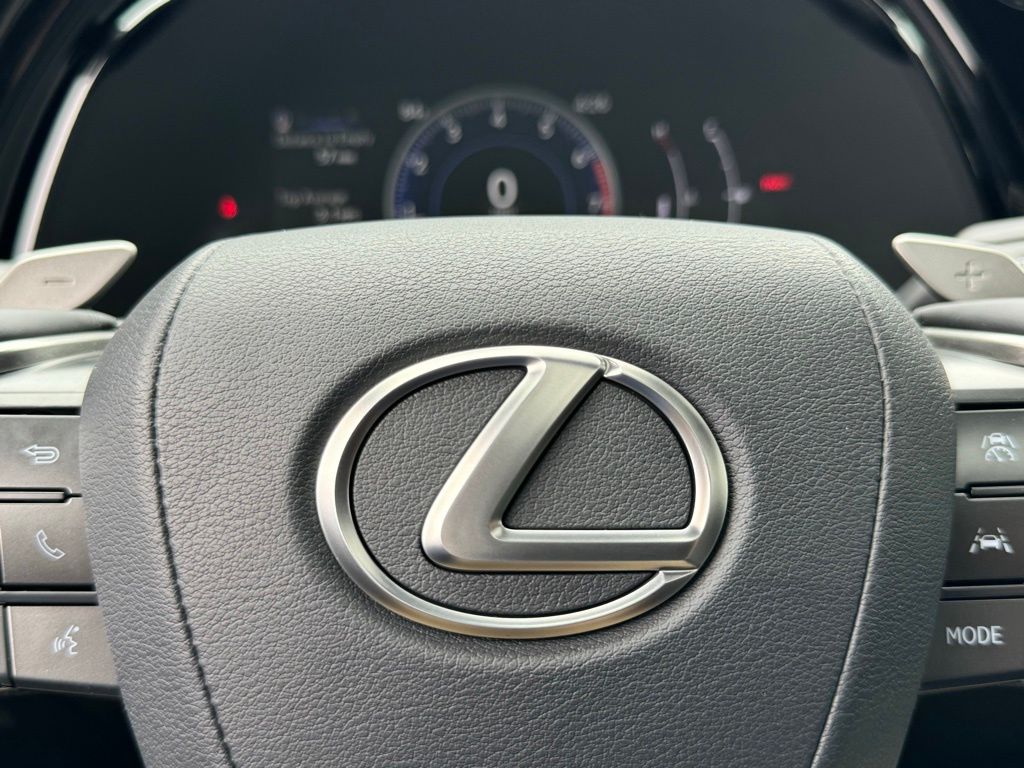 2024 Lexus RX 350 Premium 28