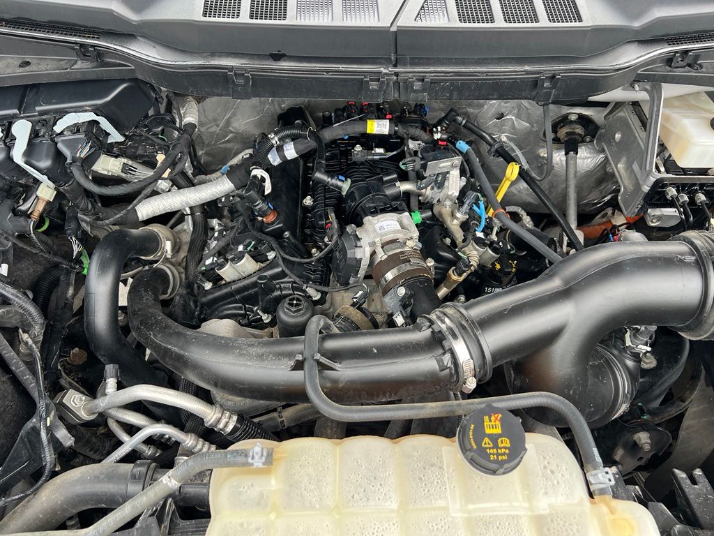 Used 2023 Ford F-150 Truck