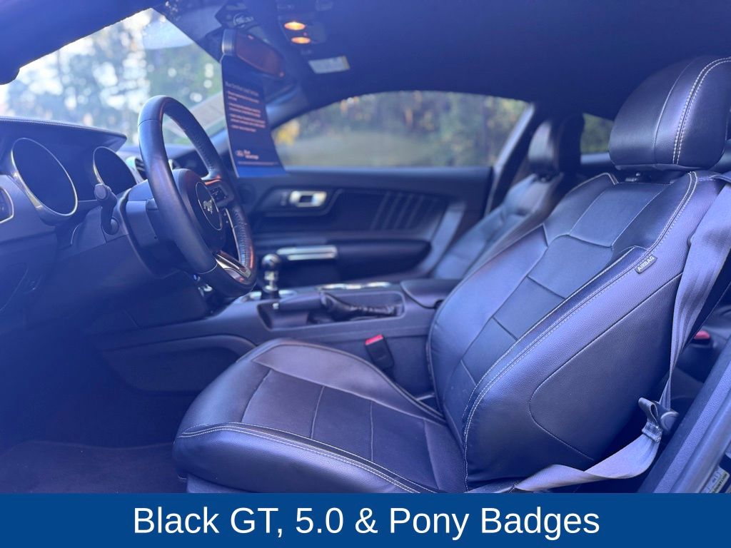 2019 Ford Mustang GT Premium