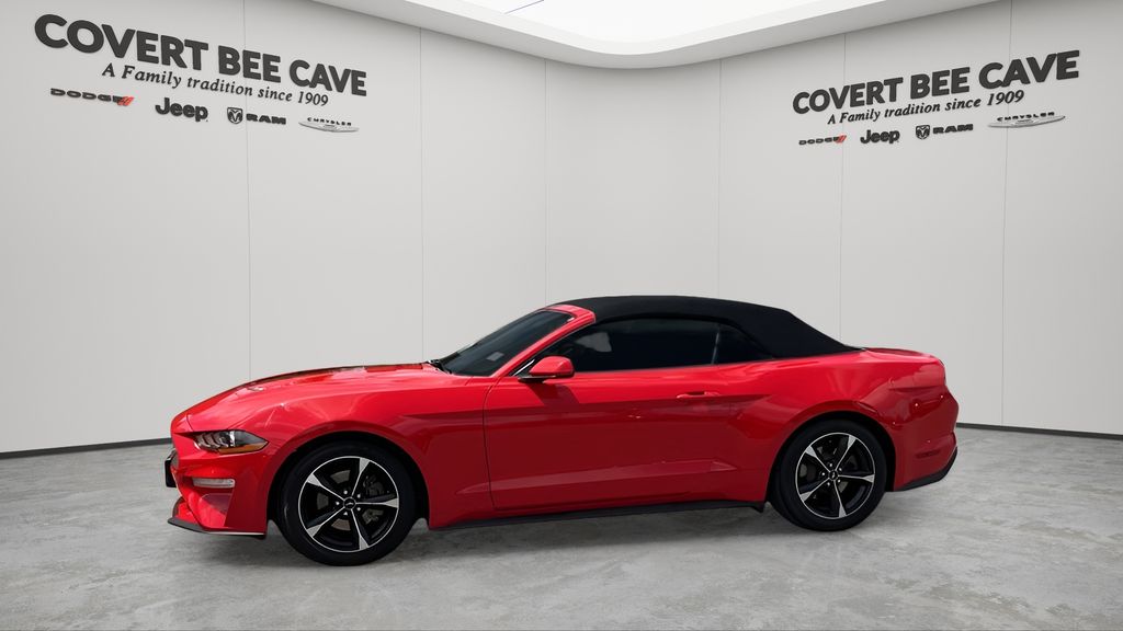 Used Car 2020 Ford Mustang  Ecoboost For Sale Under $25,000 In Austin, Texas