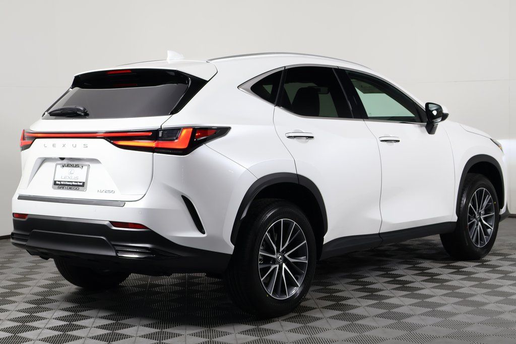 2025 Lexus NX 250 2