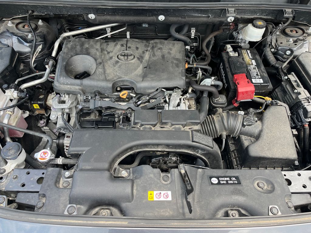 2019 Toyota RAV4 LE photo
