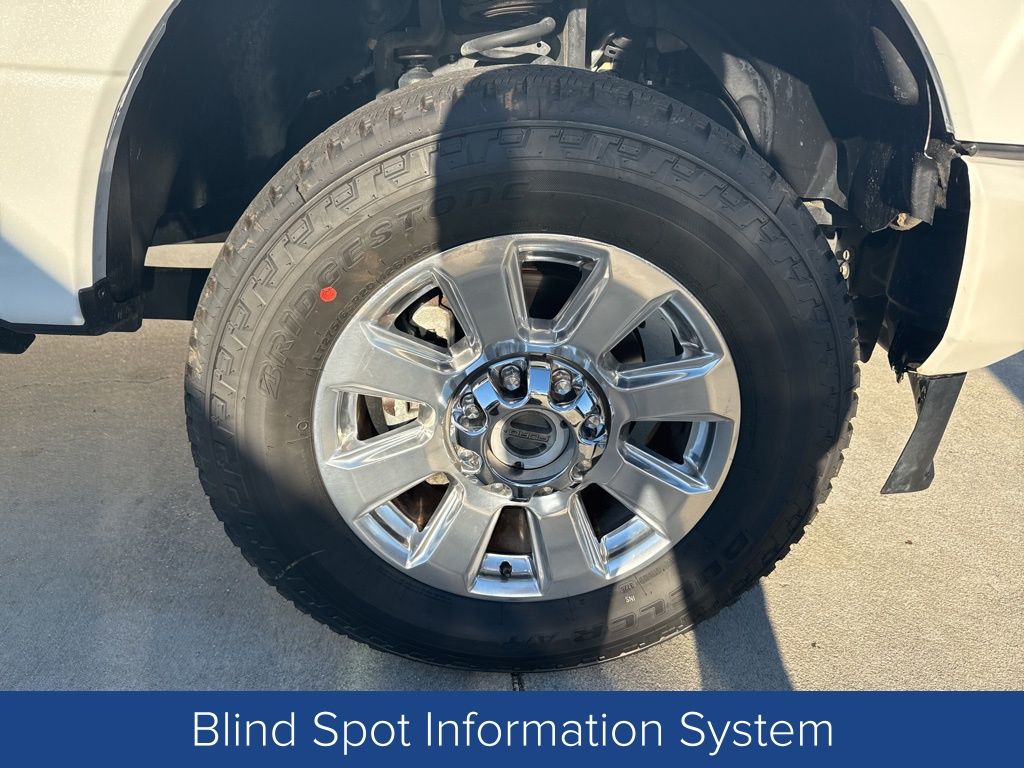 2021 Ford F-250 Platinum