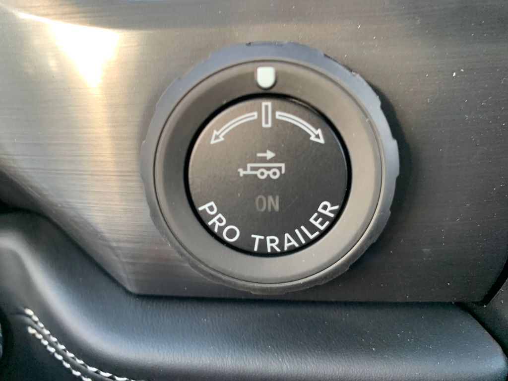 2025 Ford F-150 Lightning Platinum photo 18