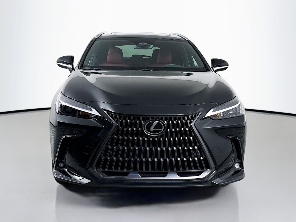 2025 Lexus NX 250 2