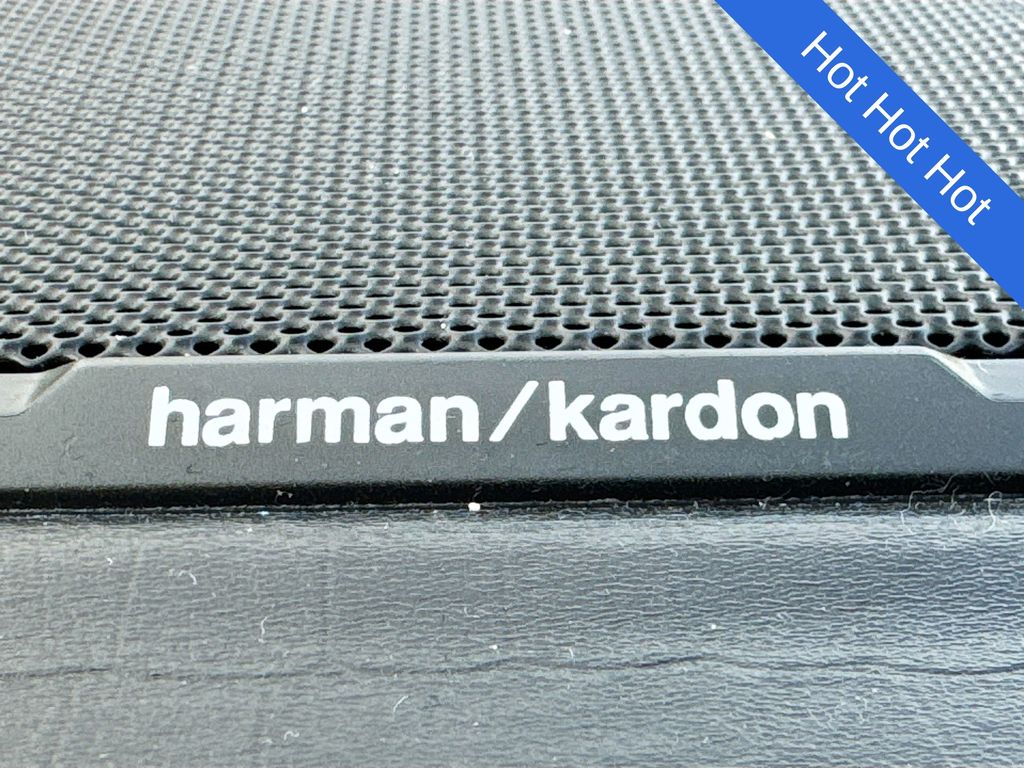 2020 RAM Ram 3500 Pickup Longhorn - Photo 19