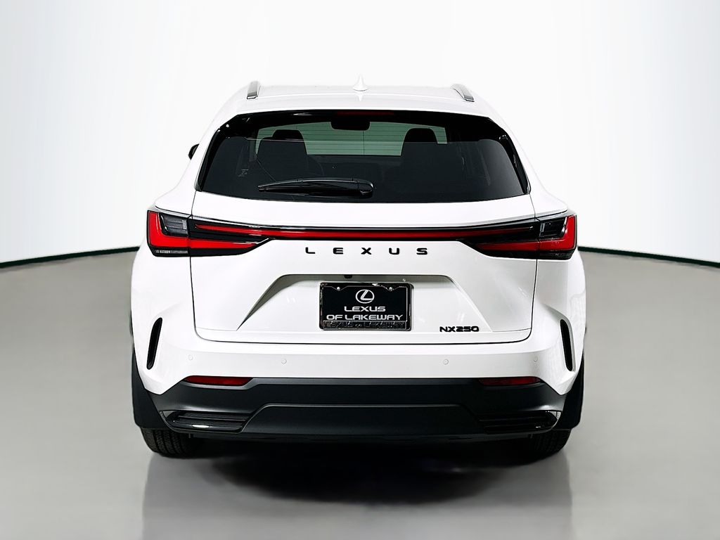 2025 Lexus NX 250 6