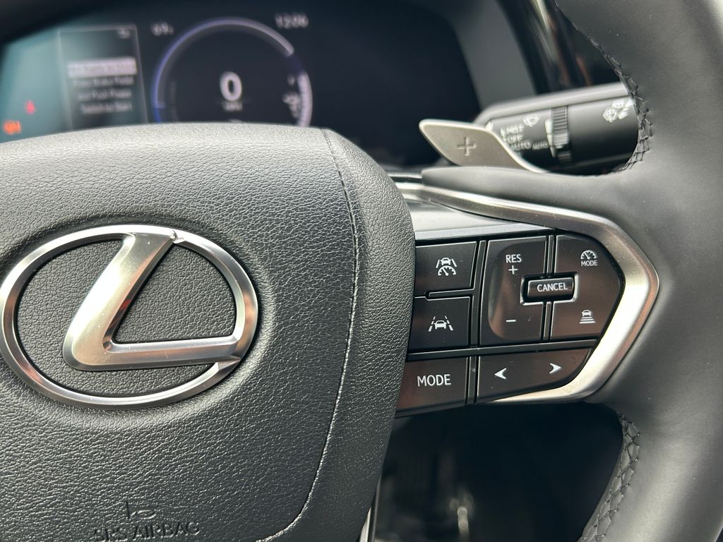 Thumbnail: 2025 Lexus RZ - 20