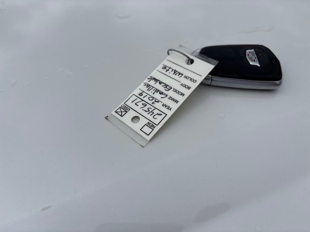 2019 Crystal White Tricoat Cadillac Escalade Platinum Edition 4X4 SUV