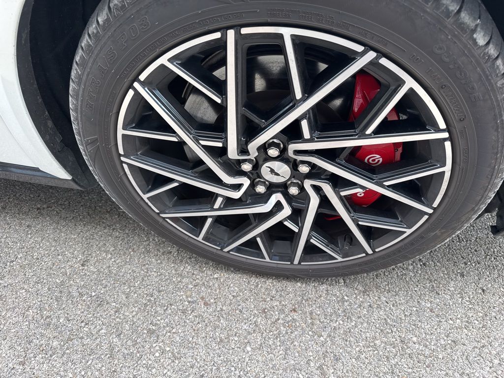 2023 Ford Mustang Mach-E GT photo 6